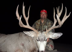 Harvey 2014 Mule Deer